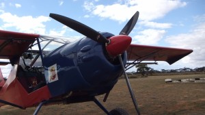 fly in 009 (deleted caf1eebd8afaad380f92d6614c415ce0)